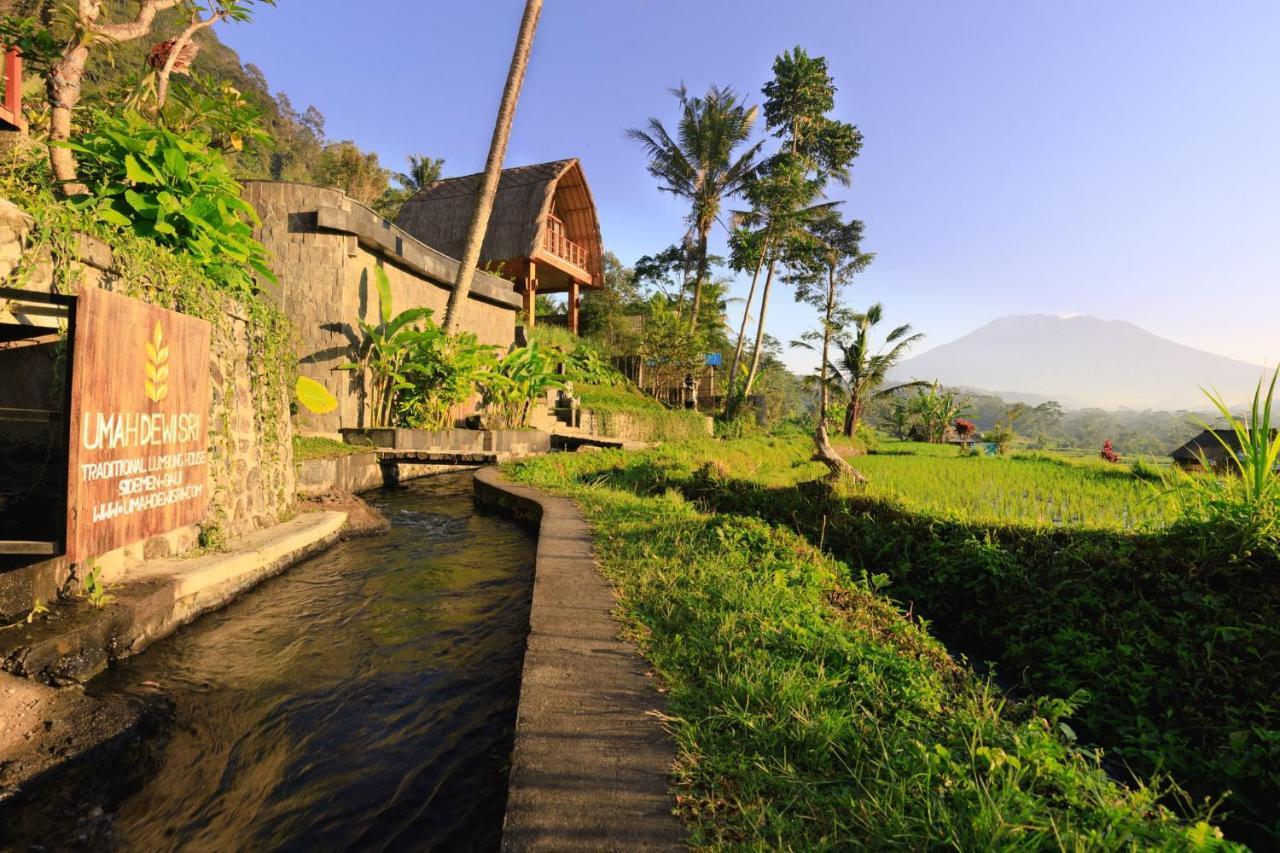 Like Living In A Romantic Balinese Painting Sidemen  Exterior foto
